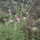 세동농장 이미지