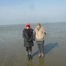 도산초교 이미지