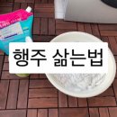 최소살리미 이미지