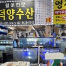 충남활어 이미지