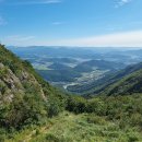 영 농장 이미지