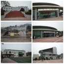 호암체육관 체육관 이미지