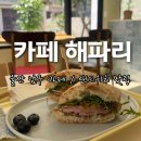 카페룰루(CAFE Lulu) | 울산 남구 카페 신정동 샌드위치 맛집, 해파리