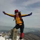정상 이미지