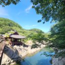 문화마을봉전 | 한국의 누정(6) 함양 화림동계곡을 다녀와서…