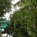 공공용 44 이미지