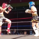 흥룡초등학교 이미지