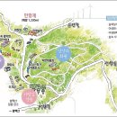 태백산보석사우나 | 함백산 만항재 야생화 트레킹(주차, 날씨, 트레킹 코스, 한계령풀, 나도바람꽃, 얼레지, 맛집, 숙소)