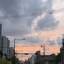 장미의 계절이 돌아왔다
