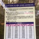 침산교(점말, 승강장번호23590&23580), 대전시내버스승강장 이미지