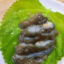 맘모스회센터28호