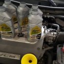 MS골드모터스 이미지