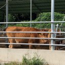 궁현2리 이미지