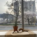 서상동143 | [경산/서상동]카페 개멋짐