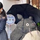 세계로렌트카(안산영업소) | 일본 후쿠오카 렌트카 비용 예약 방법 오박사 투어 난조인 후기