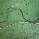 정상카센타 이미지