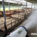 종일이네 축산 이미지