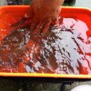 부연낚시터 이미지