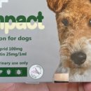 서울보룡약국 이미지