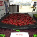 한농농자재 이미지