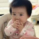 구르미간식 | 입에서 녹는 우리아기를 생각한 건강 간식 퓨어잇 구르미 퍼프 자색고구마 & 단호박맛 체험리얼 후기 !