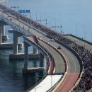 남항대교 이미지