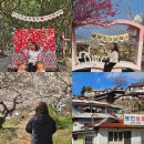 한창 카 써비스 | 여수 렌트카 추천 그린카 G카 여수엑스포역 KTX 패키지 이용 후기