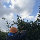 김정우 농장 이미지