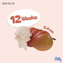 검사울 | 임신 12주 1차 기형아검사 엎드린자세… 실패(?) 후기
