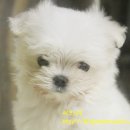 마린시티 종합동물병원 이미지