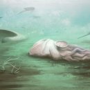 CW-2176-01 이미지