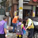 수원 휴가 수원시민신문