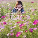 모예게스트하우스 이미지