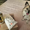 개군농협주유소 이미지