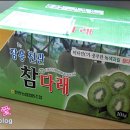 인철농장 | 키위 :: 참다래 이벤트 발표합니다~!