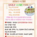 송원농장 네이버블로그