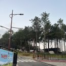 마포구 가족사랑 캠프 &#34;엄빠랑 캠핑가자&#34; 후기 2 (10.11~12)