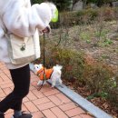 옷만들기(초급) 이미지