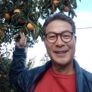 예일병원 이미지