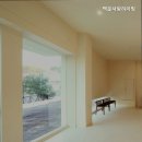 백꽃사랑하이빛 이미지