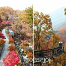 별빛물든바다 이미지
