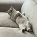 최종주동물병원 이미지