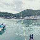 피싱마트21 - 강서구 미음산단로8번길 6 | 피싱마트21