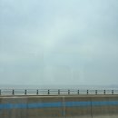 나는 도쿄가 좋아서 (DAY 1)