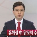 목동닭꼬치 이미지