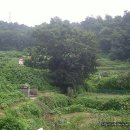 소답동200 이미지