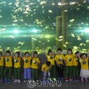 대전도솔유치원 이미지