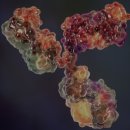 엘앤피바이오 이미지