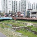 김군연어 네이버블로그