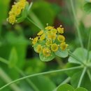 동강생태정보센터 이미지